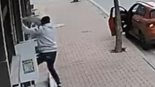 Balkona tırmanıp cins kediyi çaldı