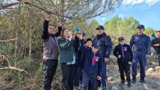 Bartında 3 bin 500 adet fidan dikildi