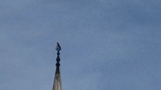 Bartında gökdoğan heyecanı