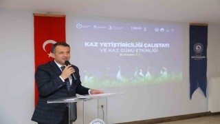 Başkan Doğan: Samsun, canlı kaz sayısı bakımından Türkiyede 7nci sırada