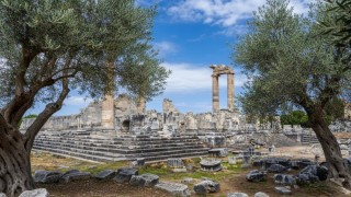 Başkan Gençay: Zeytin ağacı Didimin hafızasıdır