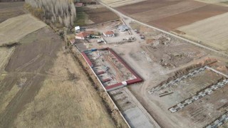 Başkan Metinden sokak hayvanları için örnek hizmet