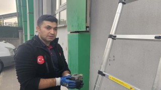 Batmanda kolonlara sıkışan kuş kurtarıldı