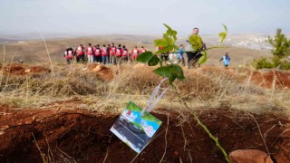 Bayburtta 97 bin 620 fidan toprakla buluşturuldu