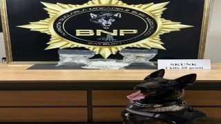 Bayburtta bavula yerleştirilmiş 1 kilo 20 gram skunk ele geçirildi