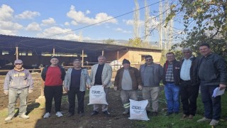 Beyağaç Belediyesi şap hastalığına karşı üreticilere kireç dağıttı