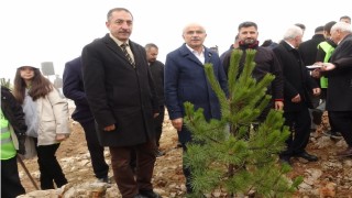 Beydağının etekleri 10 bin 444 ağaçla geleceğe nefes oldu