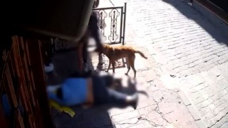 Beyoğlunda pes dedirten olay: Sara nöbeti sonrası bayılan adamın telefonunu çaldılar