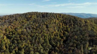 Bigada sonbahar renklerine bürünen ormanlar havadan görüntülendi