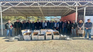 Bilecikte 42 bin adet çilek fidesi dağıtıldı