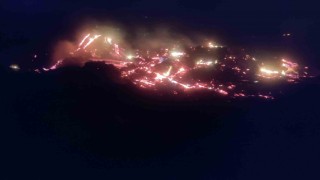 Bilecikte çürümüş ağaç ve kökler yakılırken alevler kontrolden çıktı