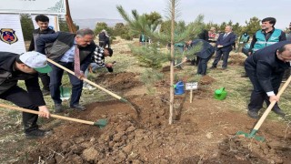 Bingölde 25 bin fidan toprakla buluştu
