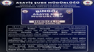 Bingölde hırsızlık olayının faili tutuklandı