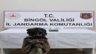 Bingölde uyuşturucuyla mücadele