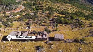 Bir zamanlar korkunun hakim olduğu Gabarda şimdi umut ve üretim yükseliyor