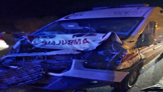 Bitliste ambulans mandaya çarptı