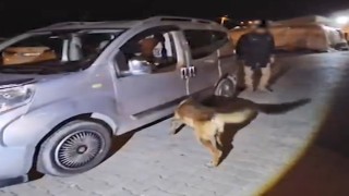 Bitlisteki uyuşturucu operasyonunda 1 kişi tutuklandı