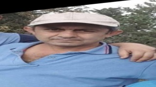 Boluda ağacın altında kalan vatandaş hayatını kaybetti