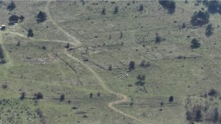 Boluda kayıp hayvanlar dronla bulundu