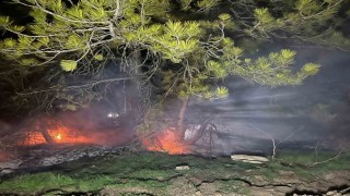 Boluda ormanlık alanda yangın çıktı