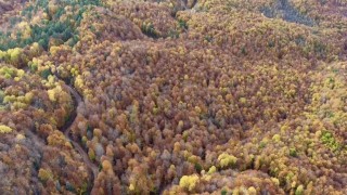 Boluda ormanlık alanlarda sonbahar güzelliği