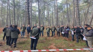 Boluda sağlıklı ormanlar için ekipler sahaya indi