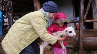 Boluda yaylalardan köylere göç başladı