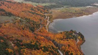 Bolunun doğa harikası Abantta ziyaretçiler akın etti