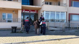 Boş arazide bulunan bebek cesediyle ilgili 1 tutuklama