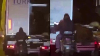 Böyle hırsızlık görülmedi: Seyir halindeki tıra yaklaşıp içindeki koyunları çaldılar