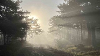 Bozdağ zirvesindeki sis manzarası hayran bıraktı