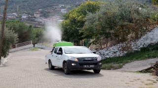 Bozdoğanda karasinekle mücadele