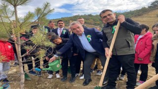 Bozüyükte yeşil vatanın yeni fertleri toprakla buluştu