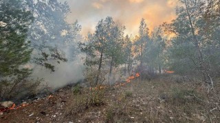Bozyazıda orman yangını kontrol altına alındı