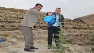 Bünyanda Milli Ağaçlandırma Gününde fidanlar toprakla buluştu