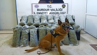 Burdurda 36 kilo skunk maddesi ele geçirildi, operasyon görüntülüleri film sahnelerini aratmadı