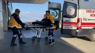 Burdurda sokak köpekleri küçük kıza dehşeti yaşattı