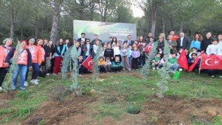 Burhaniyede 400 fidan toprakla buluştu