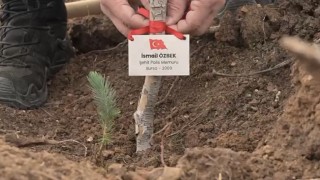 Bursada şehitler anısına fidan dikildi