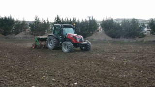 Büyükçekmecede atıl araziler buğdayla buluştu