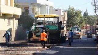 Büyükşehirden Ceylanpınardaki yolda asfalt çalışması