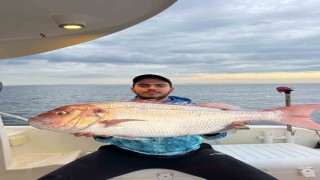 Çanakkalede balıkçılar 12 kilogramlık mercan balığı yakaladı