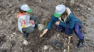 Çanakkalede Milli Ağaçlandırma Günü çerçevesinde fidanlar toprakla buluştu