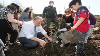 Canikte fidanlar toprakla buluştu
