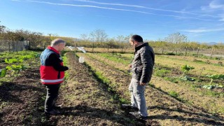 Çarşamba Ovasının yeni gözdesi: Salep