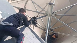 Çatıda mahsur kalan kediyi itfaiye kurtardı