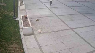 Çekirdek keyfi pahalıya patladı