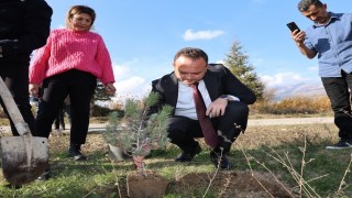 Çivrilde öğretmenler anısına fidan dikimi yapıldı