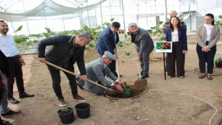 Çocuklara hem teorik hem uygulamalı eğitim