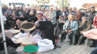 Coğrafi işaretli Kazak fasulyesinde ilk hasat festivali yapıldı